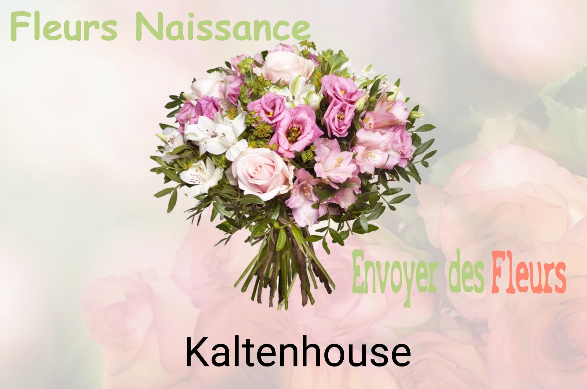 Bouquet de fleurs de naissance livré à Kaltenhouse