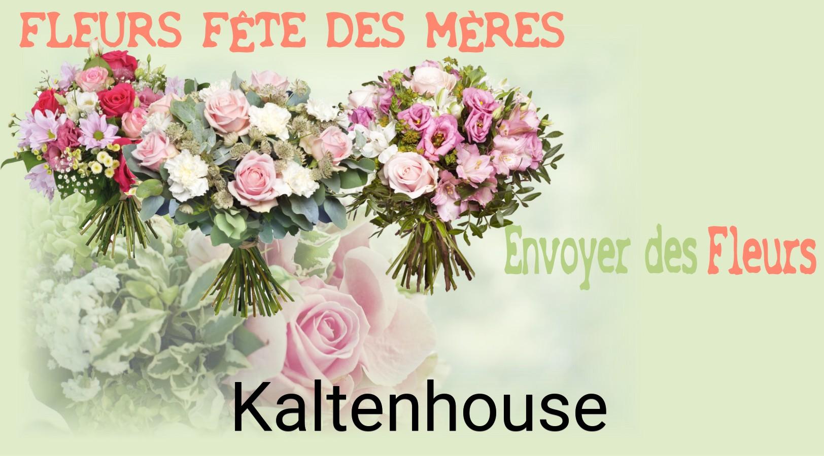 Bouquet de Fête des Mères livré à Kaltenhouse